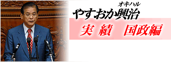 やすおか興治　実績　国政編