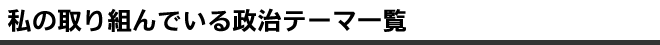 私の取り組んでいる政治テーマ一覧
